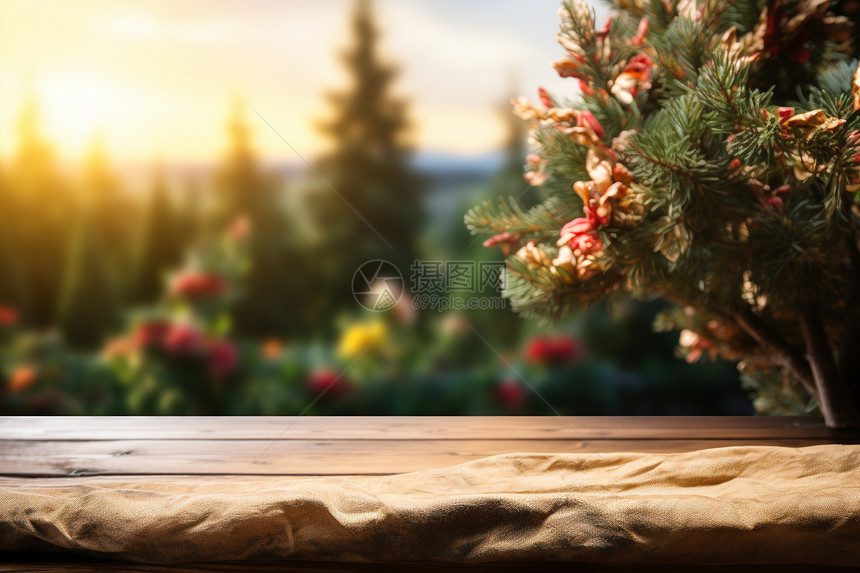 阳光明媚的木桌背景图片