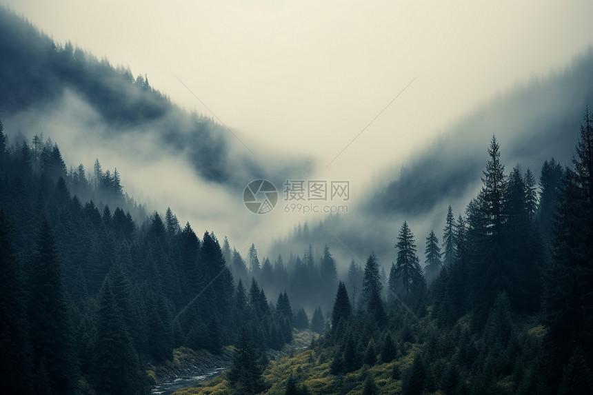 山谷中的迷雾图片