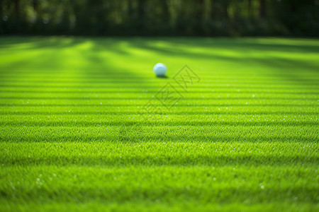 高尔夫场地绿草地上的高尔夫背景