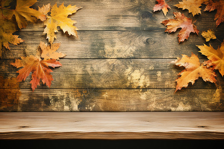 秋日静物背景背景图片