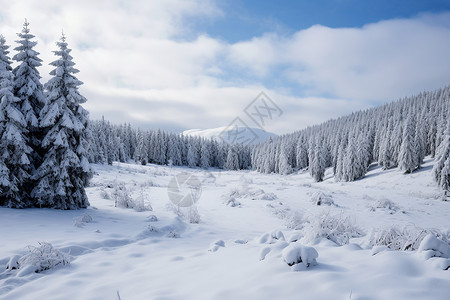 冰雪天气冰雪世界背景