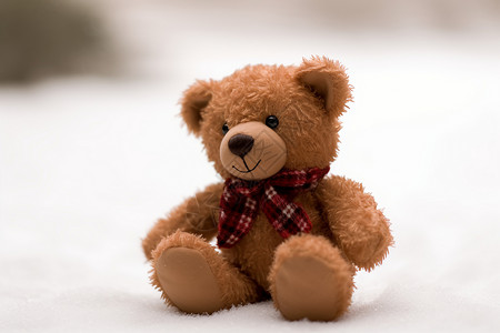 毛绒玩具小熊一个可爱的小熊背景