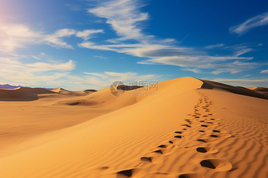 沙漠中的金黄之旅图片