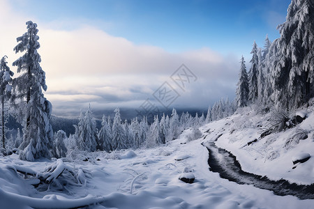 冰雪森林背景图片