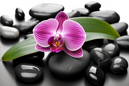 黑色的石头和花朵背景图片