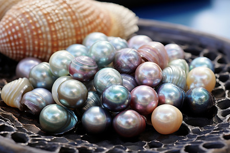 彩色贝壳彩色的贝壳珍珠背景