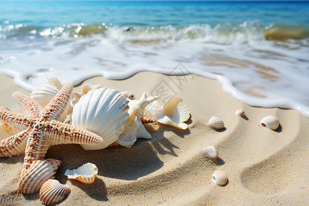 沙滩上的海星和贝壳海浪背景图片