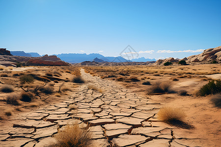 沙漠中干枯的地面背景