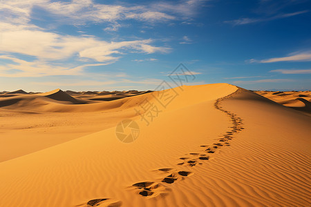 沙漠中的脚印背景图片
