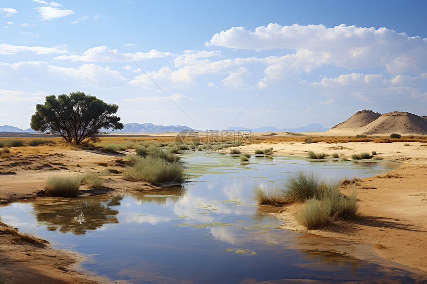 沙漠绿洲的一条小河图片