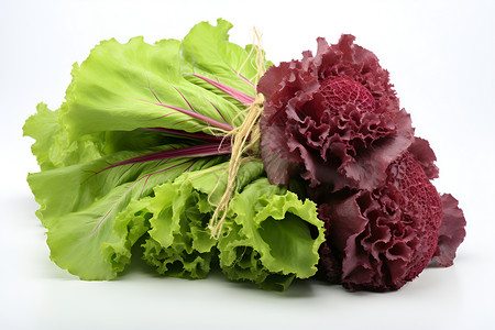 新鲜的绿叶蔬菜背景图片