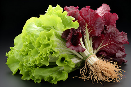 新鲜健康的蔬菜背景图片
