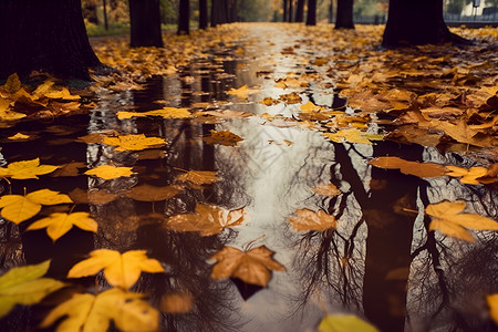 秋雨似画的美丽景观高清图片