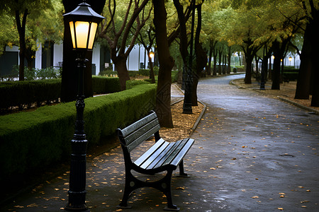 宁静的秋季城市公园景观背景图片
