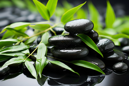 平衡的黑石绿叶与水滴高清图片