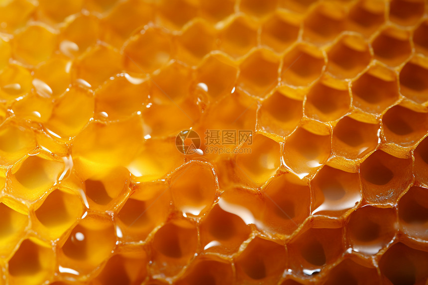 蜂巢中健康的蜂蜜图片