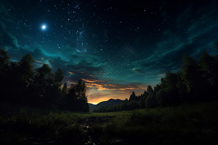 森林下的璀璨星空背景图片