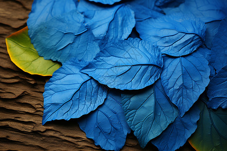 手绘树叶手绘艺术的蓝色树叶背景