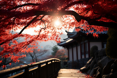 红叶秋天背景图片