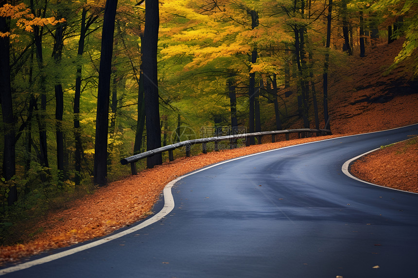 蜿蜒的山谷道路图片