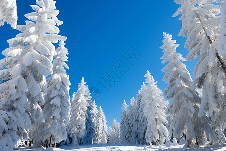冬季奇景背景图片