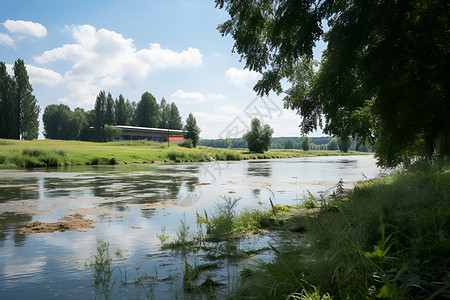 河流旁的草坪背景图片