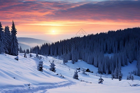 夕阳雪景背景图片