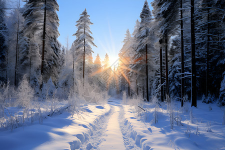 温暖冬日背景图片
