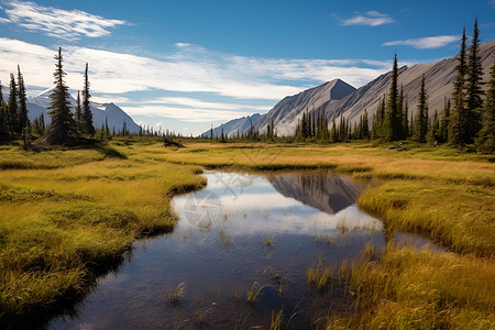 山清水秀风景山清水秀的风景背景