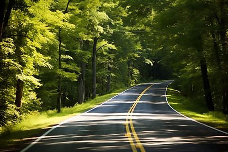 森林中一条弯曲的公路背景图片