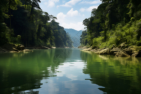 悬挂云彩的丛林河流背景图片