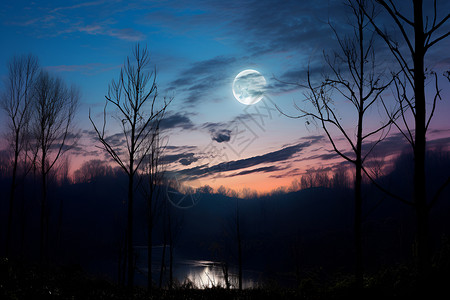 月夜湖畔黑暗丛林高清图片