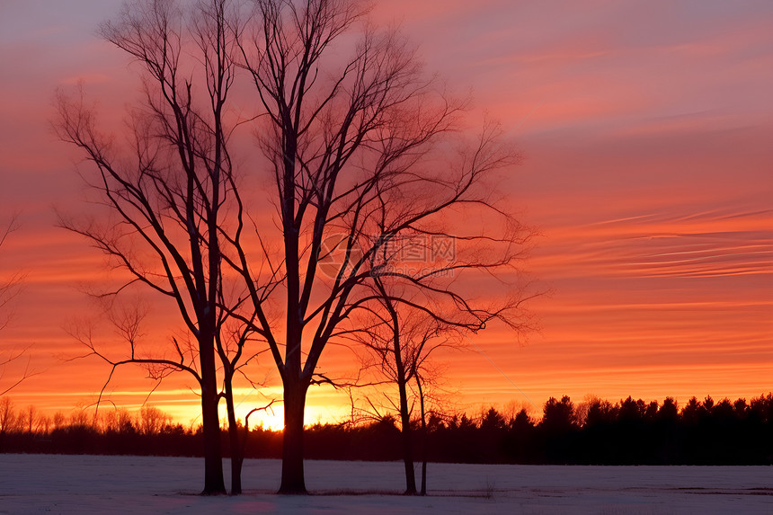 冬季日出的美丽景观图片