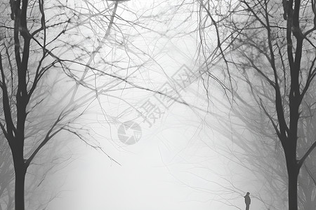 迷雾中的森林背景图片