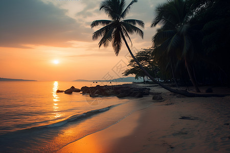 夕阳之下的棕榈滩背景