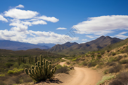 荒漠中空旷的路径背景图片