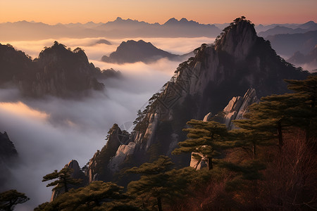 黄山夕阳松林背景图片