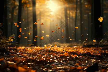 飘落的秋叶背景图片