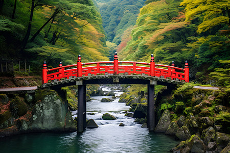 森林的红桥建筑红桥高清图片