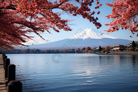 富士山秋季风景背景图片