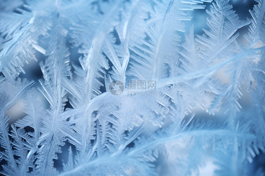 冰之美冬日的结晶图片