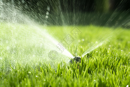 灌溉成长阳光下绿草地上的喷水器背景