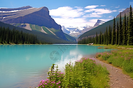 蓝天下的湖泊背景图片