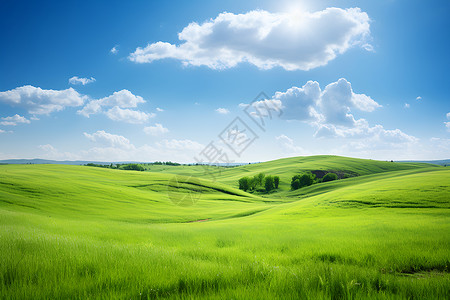 草地天空素材绿色大草原背景