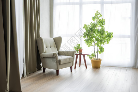 客厅内的椅子和绿植背景图片