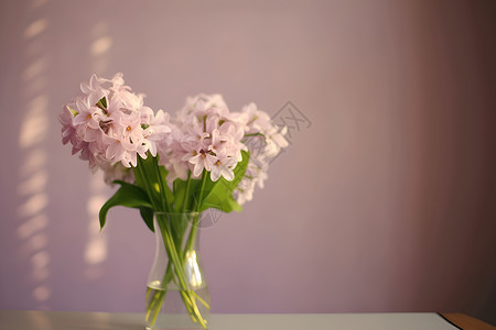 花瓶里面美丽的花朵背景图片
