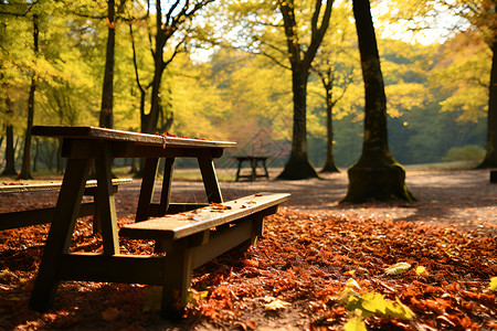 叶子铺满公园的长凳背景图片
