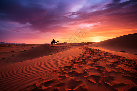 沙漠中的骑骆驼者背景图片