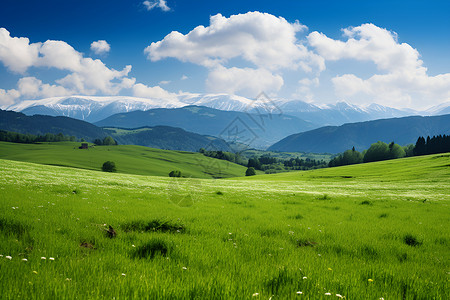 树木草地素材绿野与高山背景