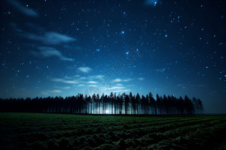 夜晚树木星空下的翠绿风景背景